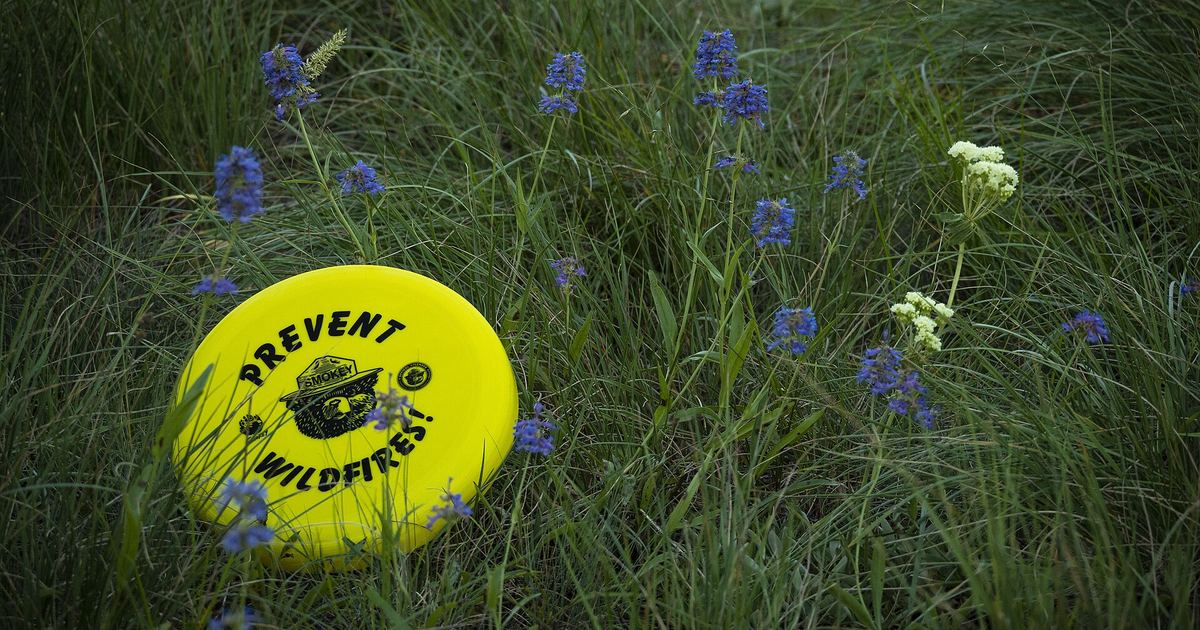 Başlangıç Seviyesi Ultimate Frisbee Kuralları: Kendi Kendini Yöneten Bir Spor Nasıl İşler?