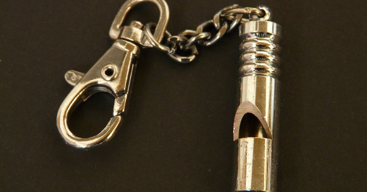 Spor Hakemliğine Nasıl Başlanır: Federasyondan Federasyona, İlk Kurs İlk Düdüğe Giden Yol